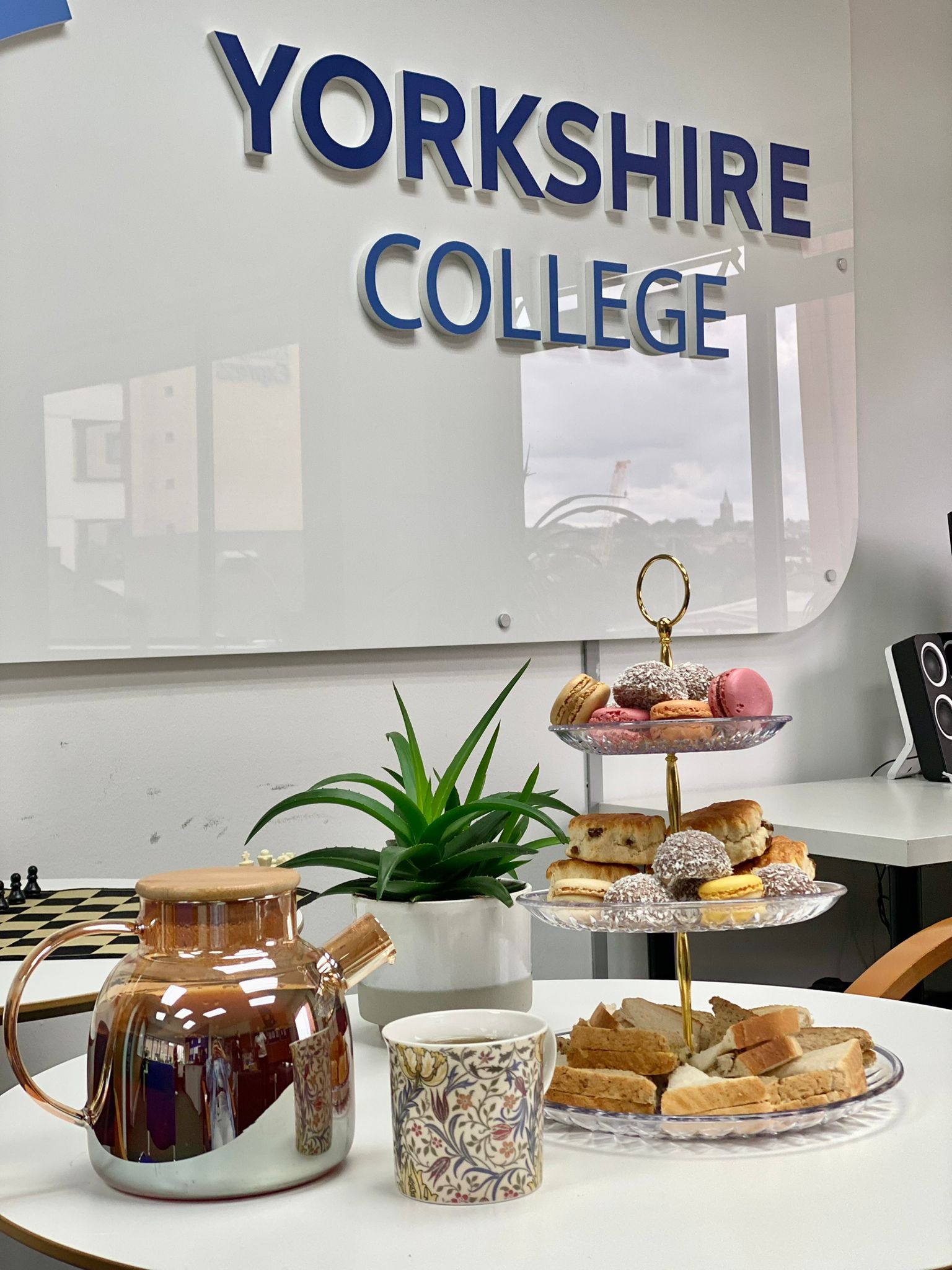 WhatsApp Image 2026-01-28 at 11.29.46 (1)